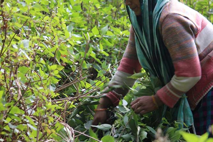 Sustainable and Slow Fashion wins the race !!