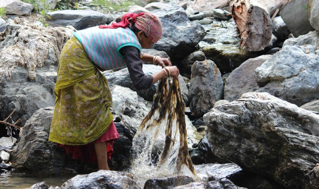 Nettle Processing