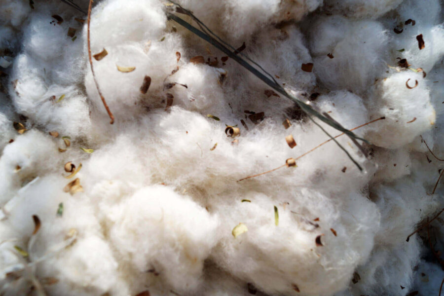 THE ORGANIC CLOTHING BRANDS OVERHAUL IN FASHION INDUSTRY