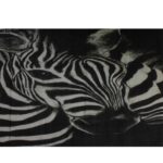 Zebra Print Scarf in Modal - Image 3