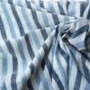 Blue Striped Fabric