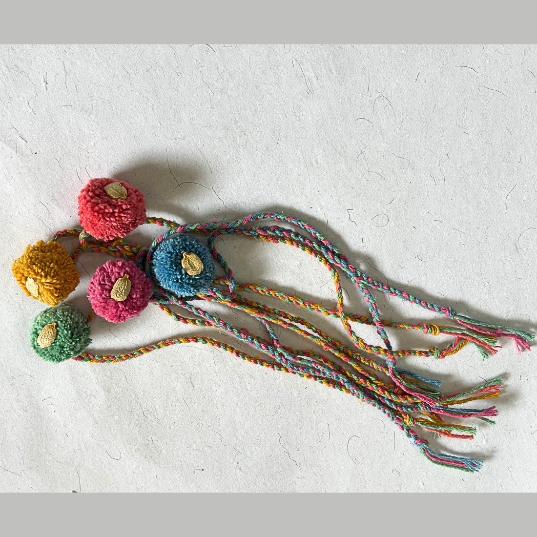 Eco Friendly seed rakhi