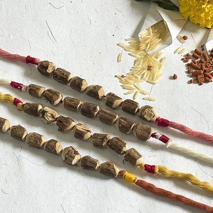 Environment friendly rakhi online