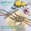 Environment friendly rakhi online